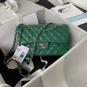 Chanel Small Classic Double Flap Bag Green Lambskin - CB030